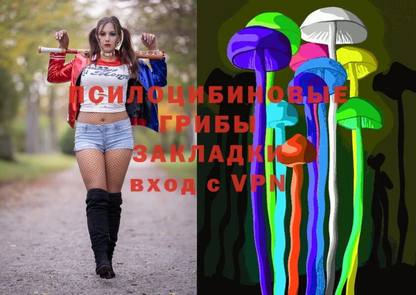 ПСИЛОЦИБИНОВЫЕ ГРИБЫ Верея